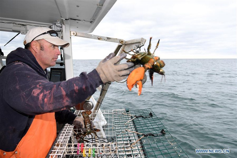 US-Hummer-Exporte nach China steigen