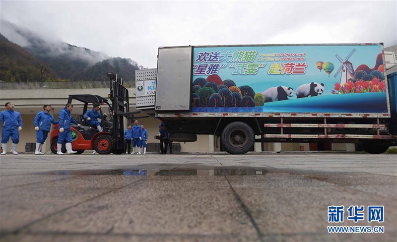 Xingya und Wuwen reisen in die Niederlande