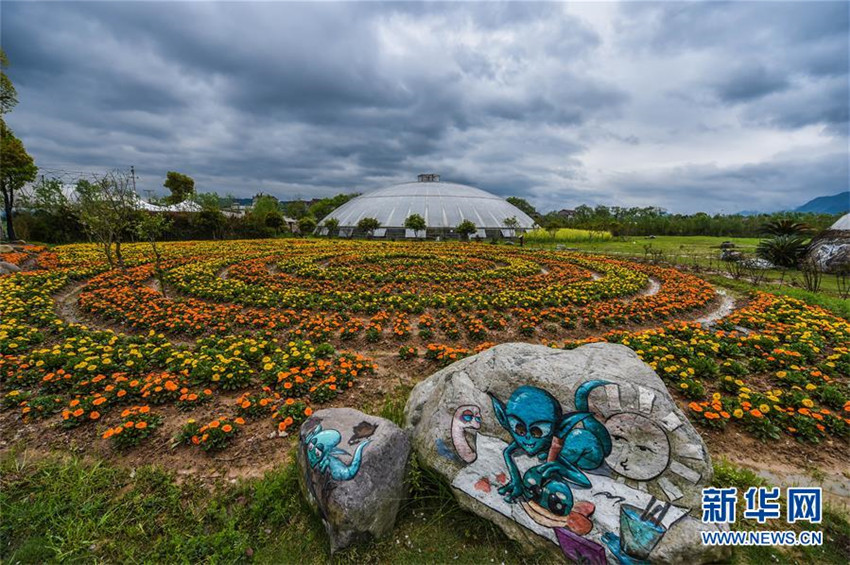 Zhejiangs Planetenfarm begrü?t die Blütezeit