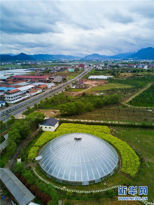 Zhejiangs Planetenfarm begrü?t die Blütezeit