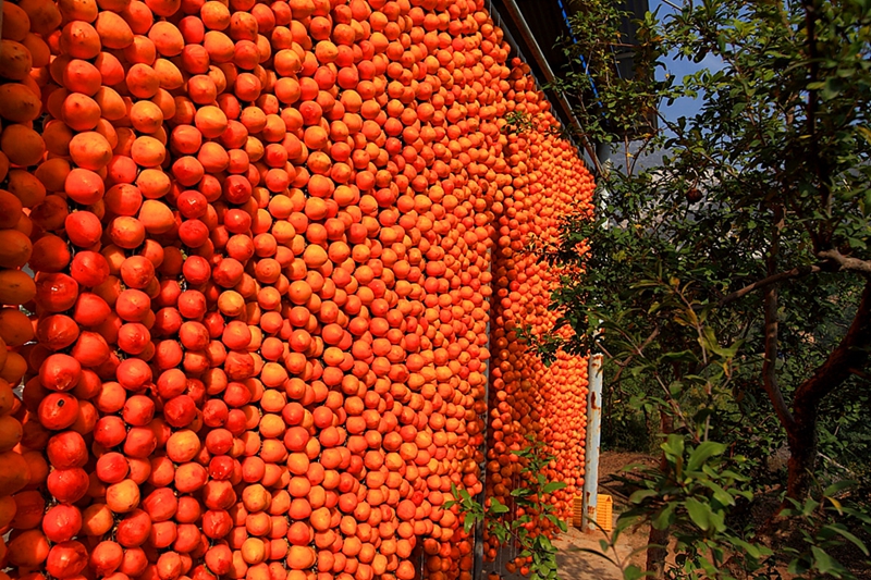 Berühmte Spezialit?t von Shaanxi – Getrocknete Kakipflaume in Fuping