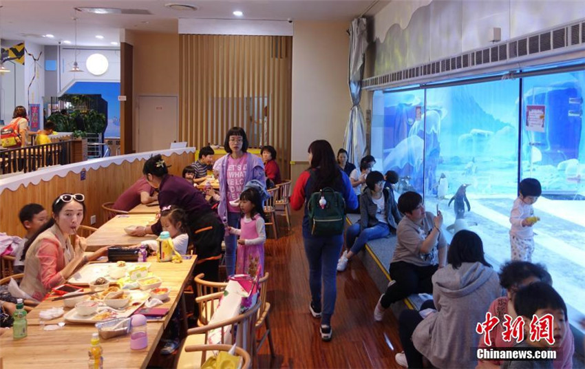 Pinguin-Restaurant in Beijing