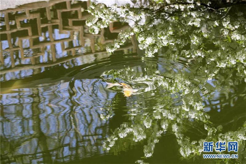 Jixing: New Yorks Chinesischer Garten