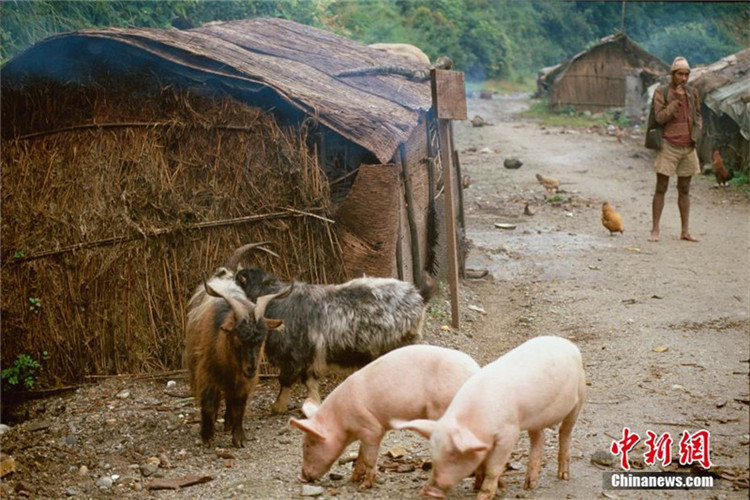 Zhangmu: Ein wundersch?nes tibetisches Bergdorf