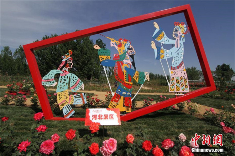 Erste Teerosenmesse von Beijing, Tianjin und Hebei er?ffnet