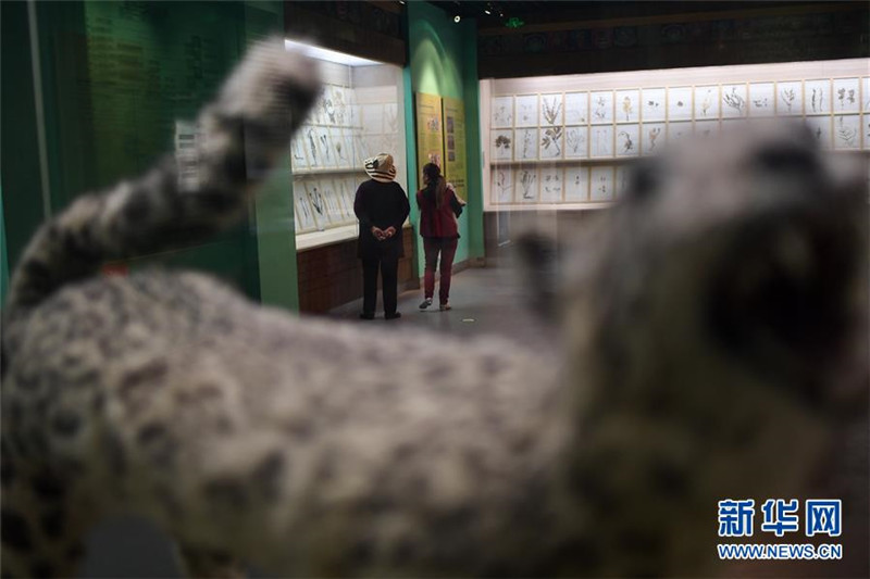 Chinesisches Museum der tibetischen Medizinkultur