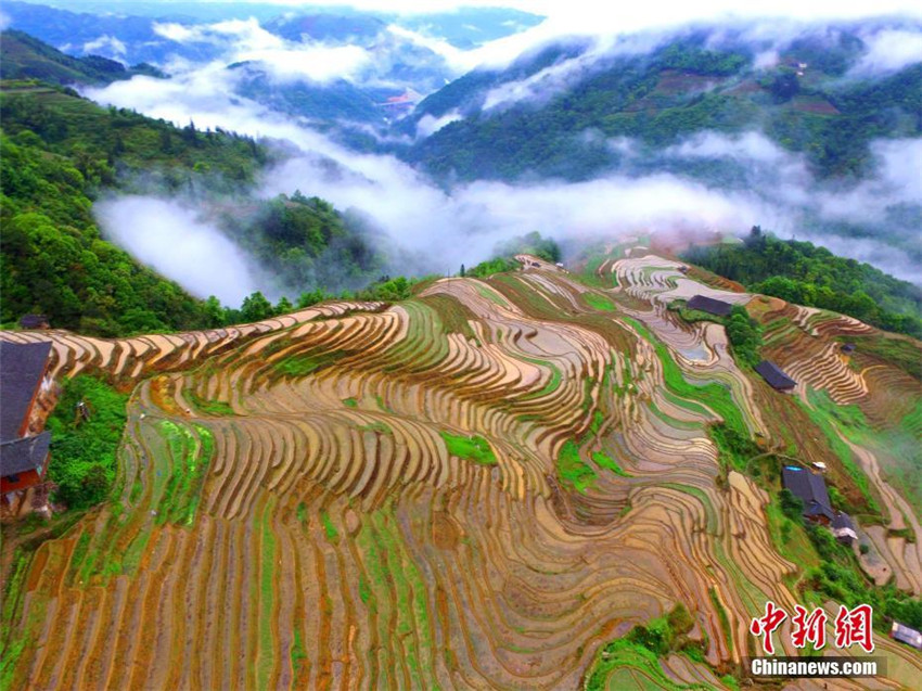 Guangxis malerische Terrassen