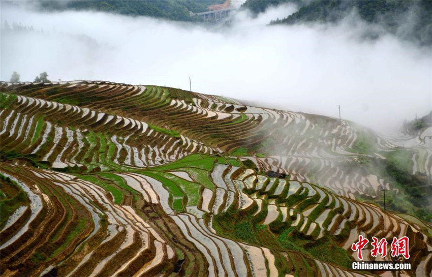 Guangxis malerische Terrassen