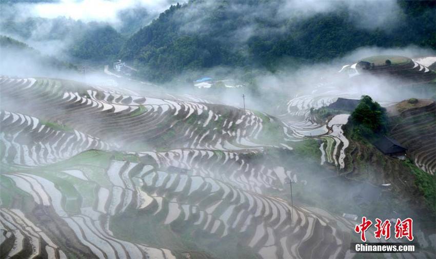 Guangxis malerische Terrassen