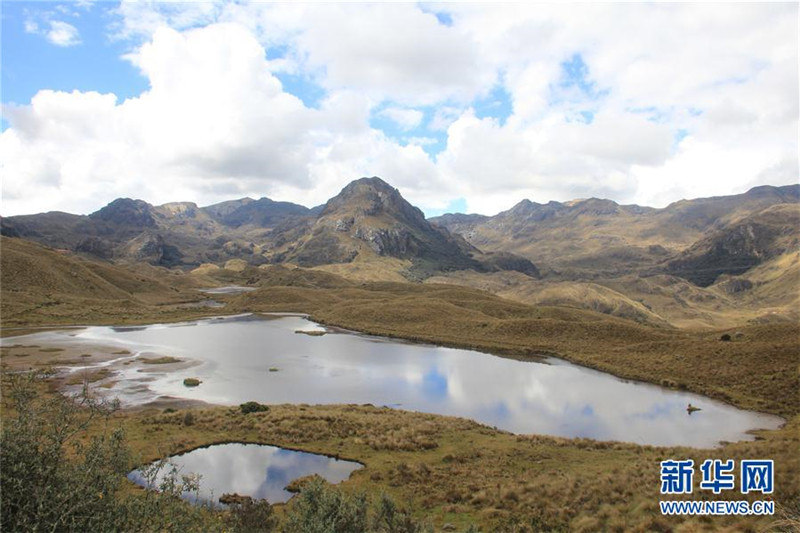 Internationaler Tag der biologischen Vielfalt 2017