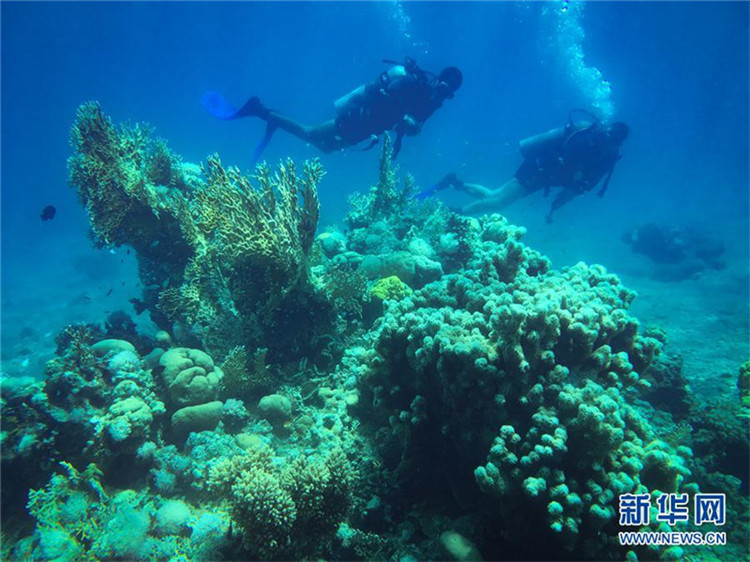 Internationaler Tag der biologischen Vielfalt 2017
