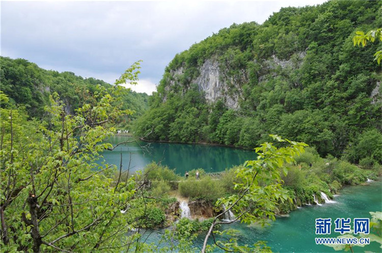 Internationaler Tag der biologischen Vielfalt 2017