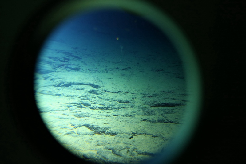 Tiefseeforschung im Marianengraben 