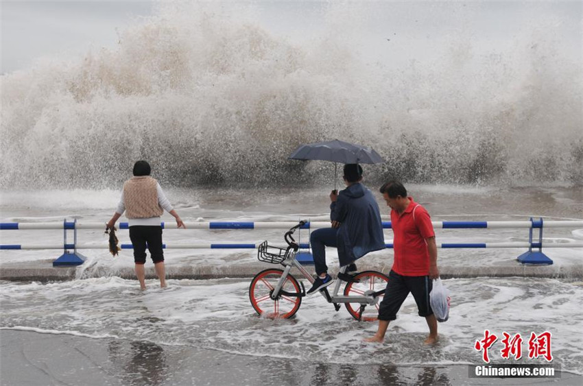 Riesenwellen in Qingdao locken Besucher an