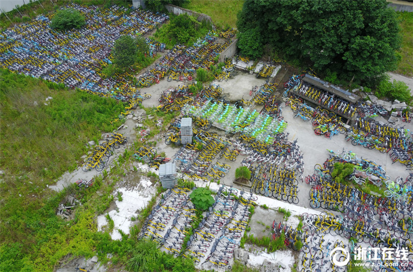 Robustes Wachstum der Mietfahrradbranche beeintr?chtigt Hangzhous Stadtbild