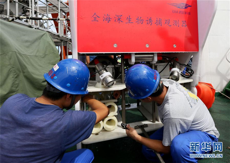 Chinesische Forscher sammeln Flohkrebse aus 8000 Meter Tiefe