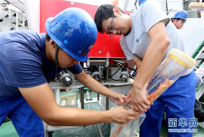 Chinesische Forscher sammeln Flohkrebse aus 8000 Meter Tiefe
