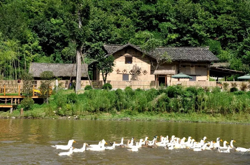 Attraktion von Hochgebirge und Feuchtgebiet Youran der Qinling-Gebirge