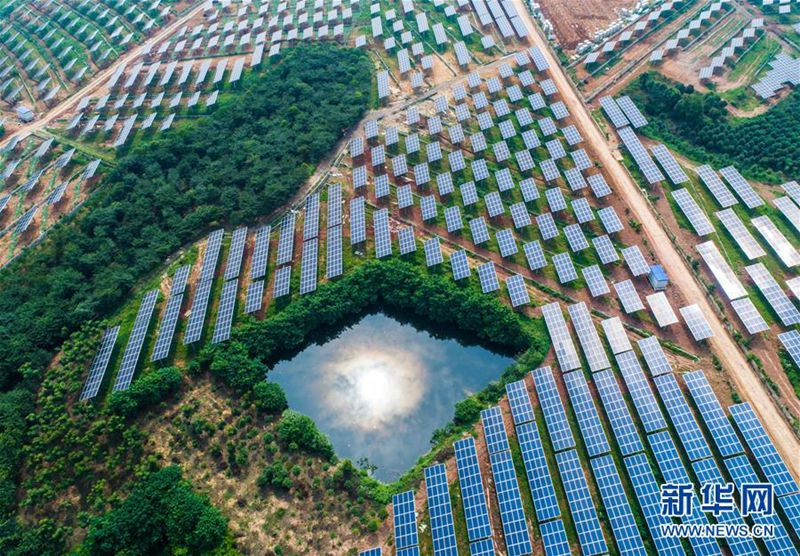 Zhejiang: Photovoltaikanlagen auf Feldern gehen ans Netz