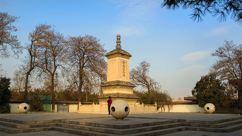 Kirschblüten in Qinglong Tempel in Xi′an