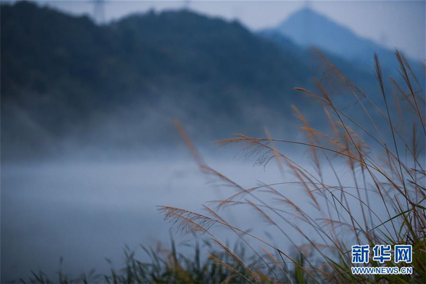 Der neblige Fluss Xin′an bringt Kühle im Sommer