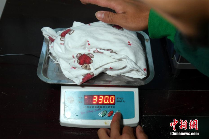 Erstes Panda-Baby von gefangener Mutter und wildem Vater