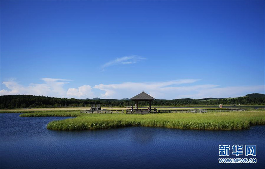 Saihanba – Chinas wichtigstes Waldgebiet wird zum touristischen Magnet