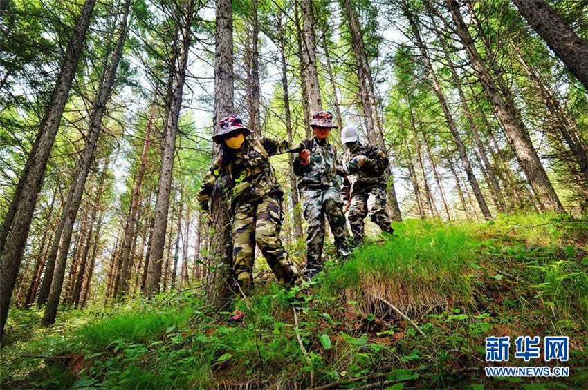 Saihanba – Chinas wichtigstes Waldgebiet wird zum touristischen Magnet