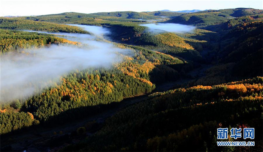 Saihanba – Chinas wichtigstes Waldgebiet wird zum touristischen Magnet