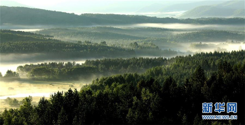 Saihanba – Chinas wichtigstes Waldgebiet wird zum touristischen Magnet