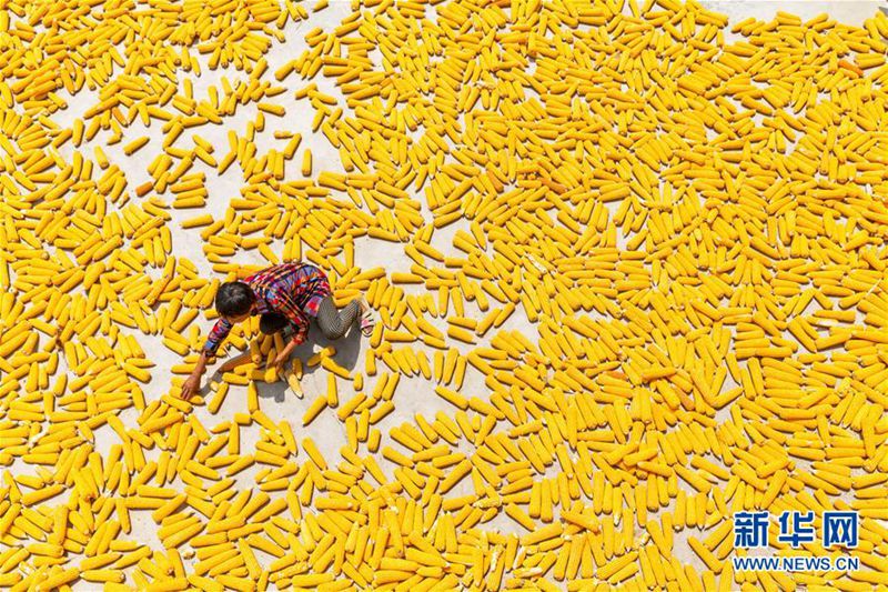 ?Trocknen“ zu Herbstbeginn