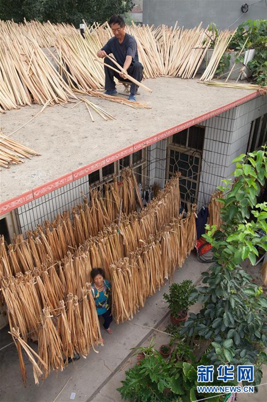 ?Trocknen“ zu Herbstbeginn