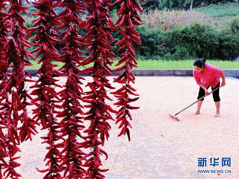 ?Trocknen“ zu Herbstbeginn