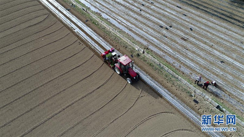 Beidou-Navigationssystem hilft bei der Feldarbeit 