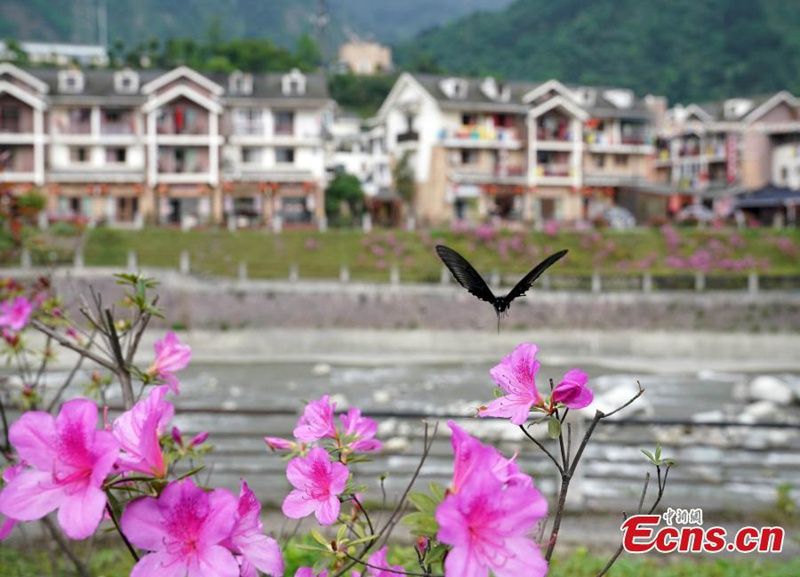 Neues Leben im Post-Erdbeben-St?dtchen Yingxiu