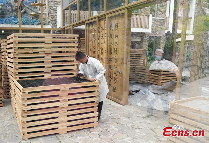 Neues Leben im Post-Erdbeben-St?dtchen Yingxiu