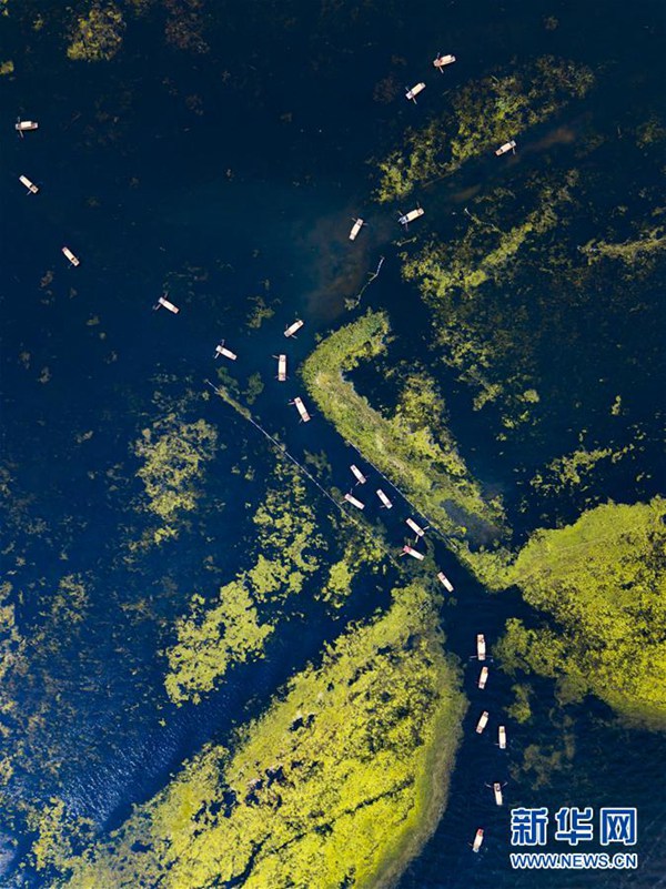 Touristen besuchen den Baiyangdian-See in Xiong'an New Area