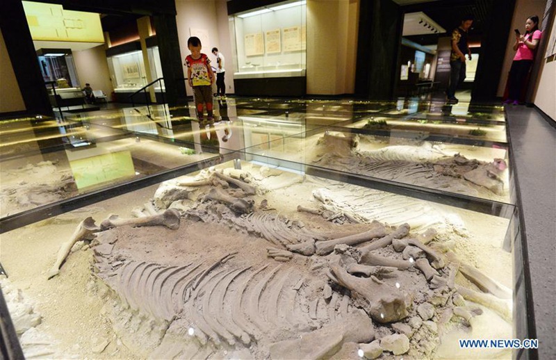 Internationaler Museumstag in China