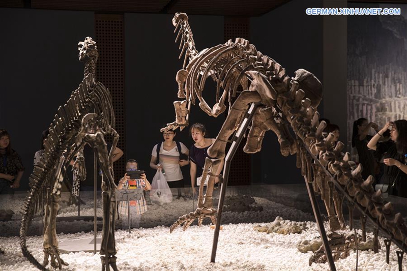 Internationaler Museumstag im ganzen China gefeiert