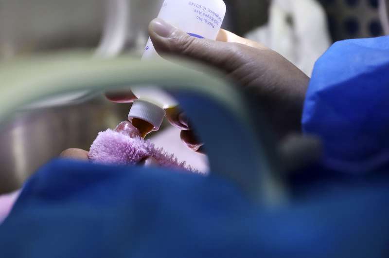 Pandazwillinge in Chengdu geboren