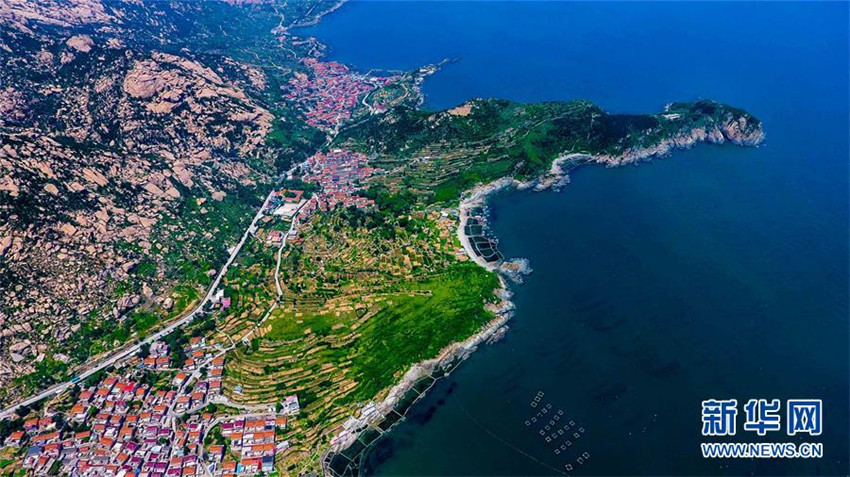 Sch?nes Qingdao vor dem SOZ-Gipfel