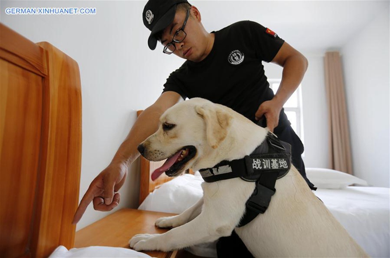 Tag der offenen Tür für Spürhund in Shandong abgehalten