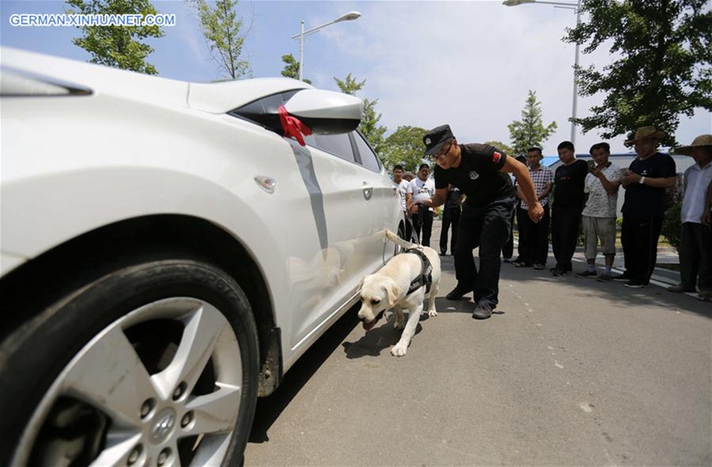 Tag der offenen Tür für Spürhund in Shandong abgehalten