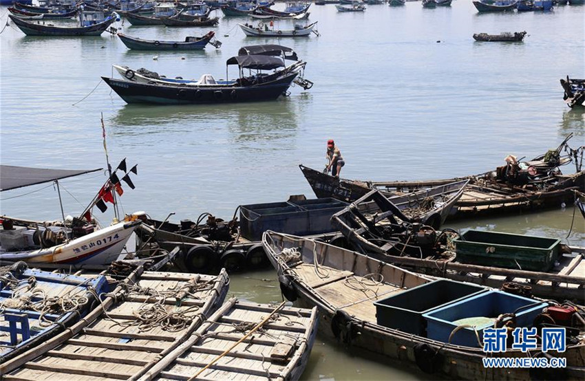 Taifun-Alarm: China bereitet sich auf ?Maria“ vor