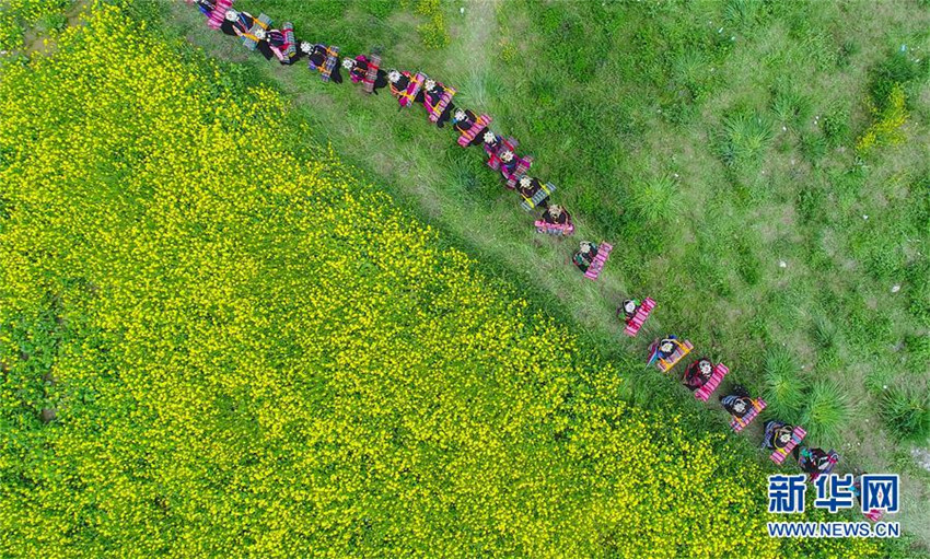 Qinghai-Tibet-Hochebene weiter unter saubersten Regionen der Welt