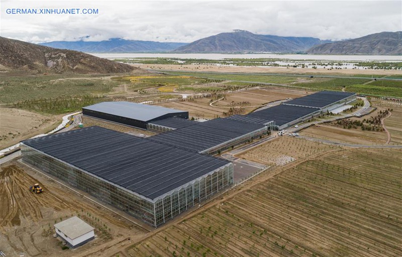 Grüne Industrie in Tibet dient Einkommenswachstum der Einwohner