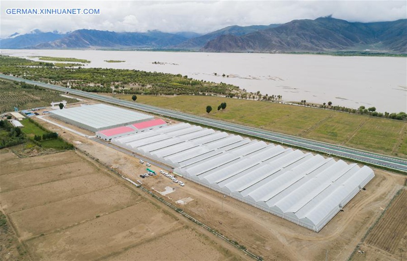 Grüne Industrie in Tibet dient Einkommenswachstum der Einwohner