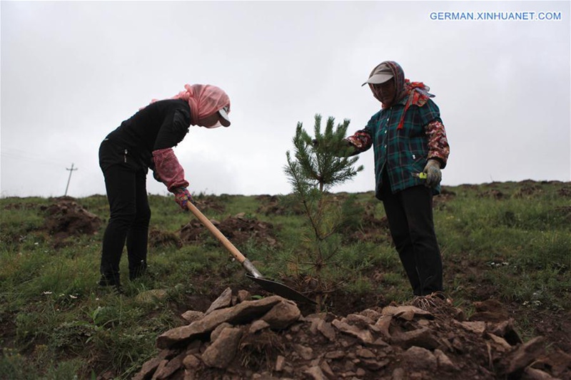 Arbeiter f?rdern den ?kologischen Schutz durch Aufforstung in Hebei