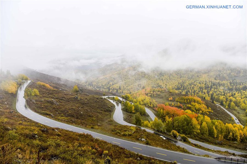 Xinjiang beschleunigt Transport-, Logistikentwicklung