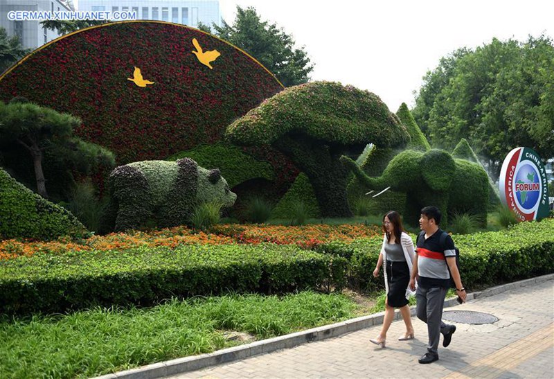 Parterres für bevorstehenden FOCAC-Gipfel in Beijing vorbereitet